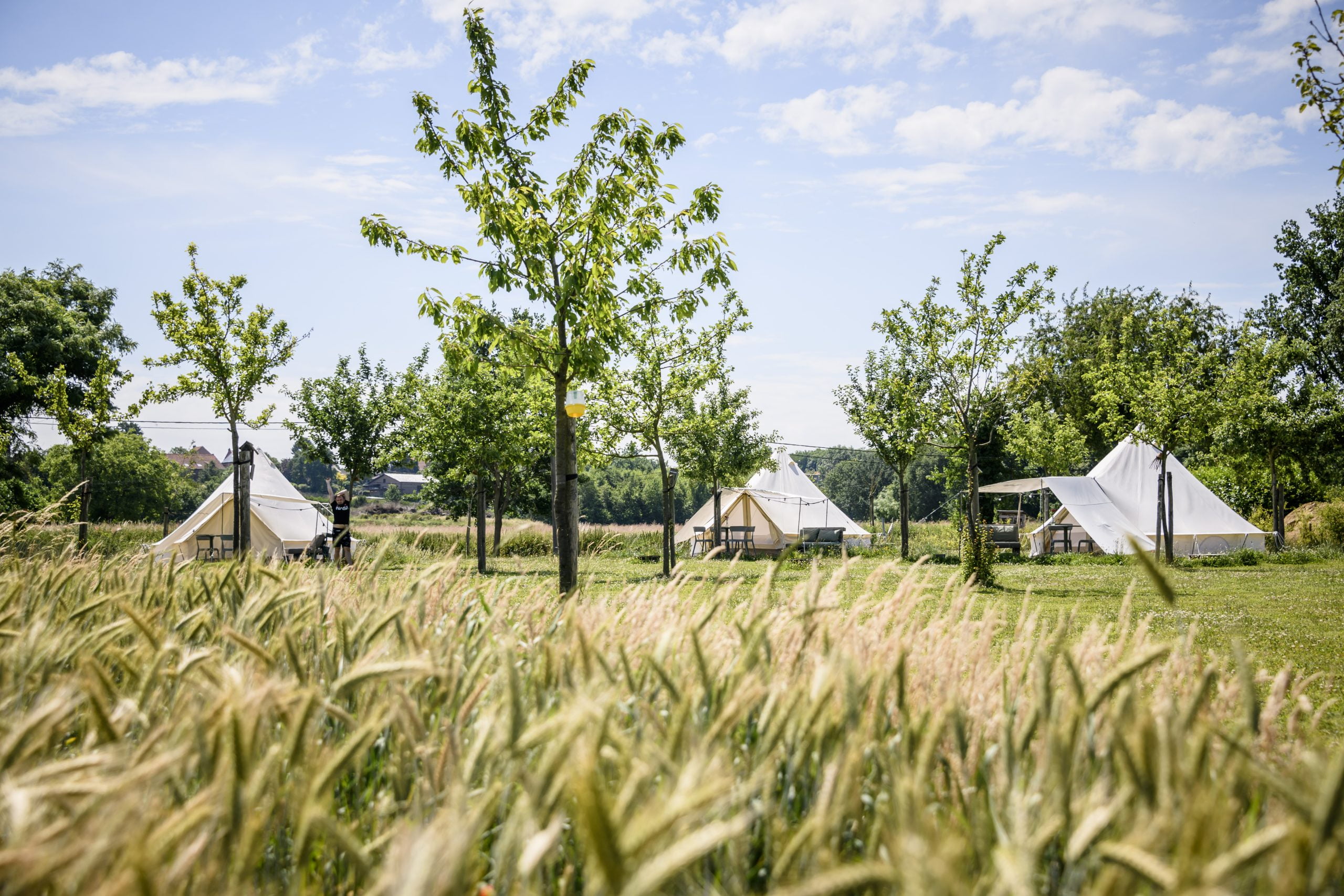 pluimpapaver glamping overview scaled